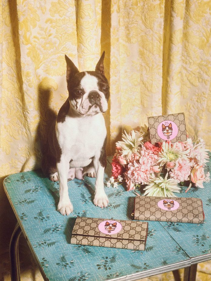 Gucci's Year of the Dog Collection 