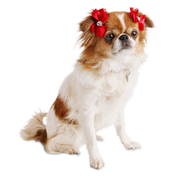 το κόκκινο Satin Organza Dog Hair Bows