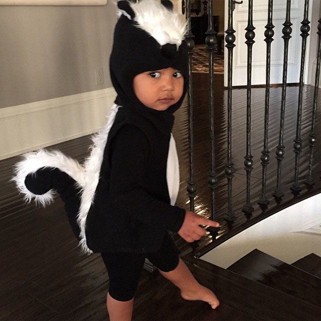 Βόρειος Wears a Skunk Costume for Halloween 