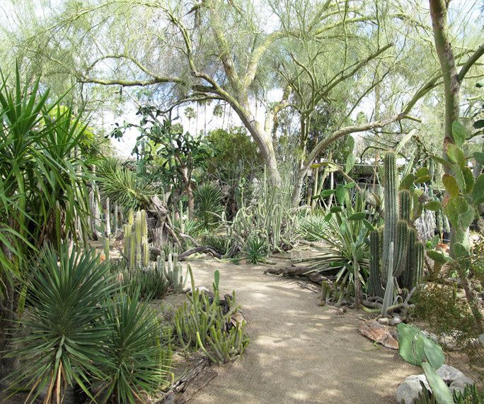 посещение Moorten Botanical Gardens in Palm Springs