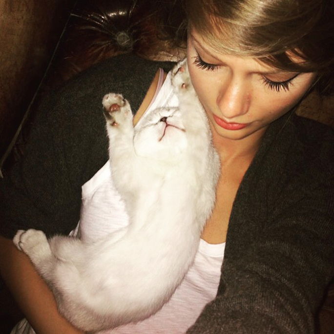 Тейлър Swift and cat Olivia Benson 