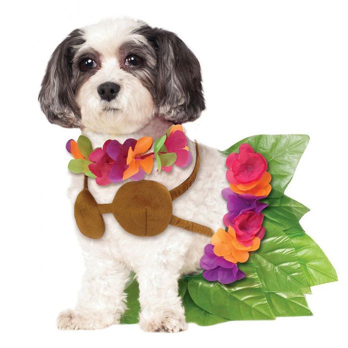 Χούλα Girl dog Halloween costume