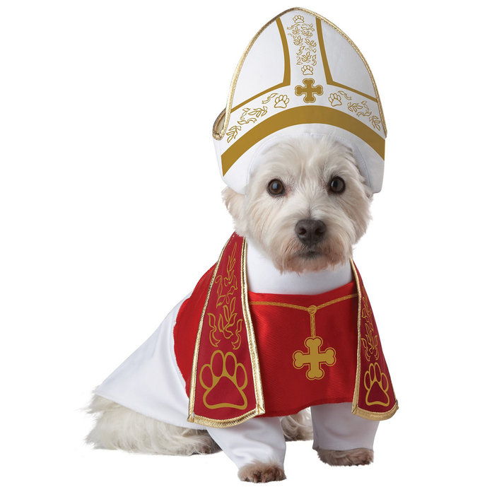Πάπας dog Halloween costume