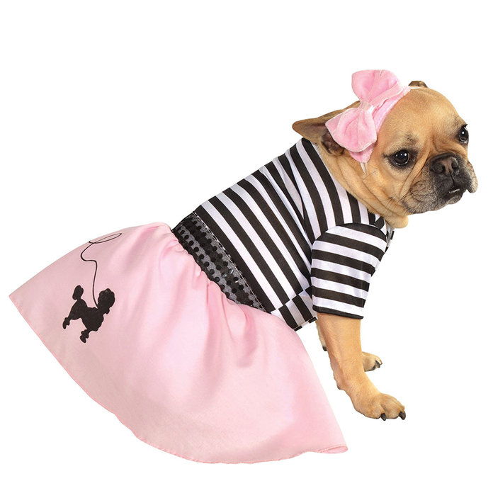Πενήντα girl dog Halloween costume