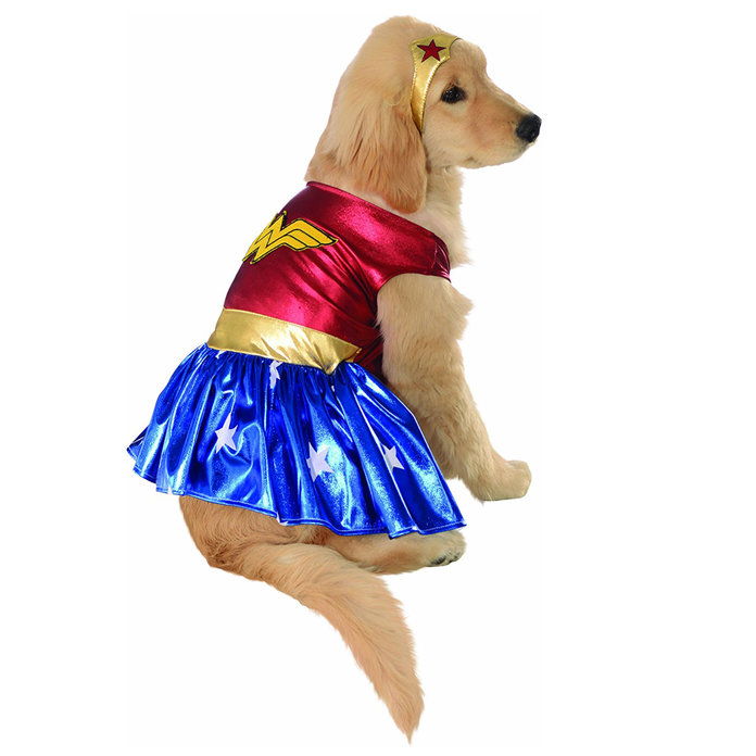 Θαύμα Woman dog costume
