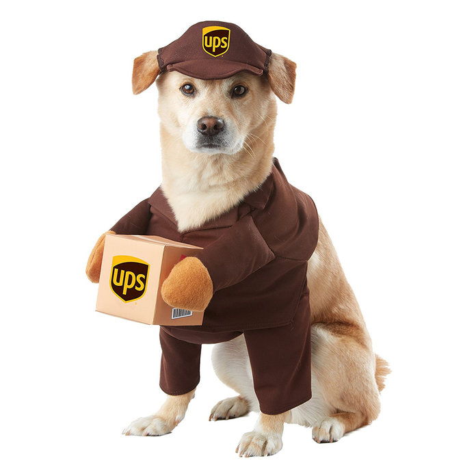 UPS man dog Halloween costume
