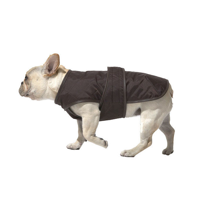 Wagwear dog jacket