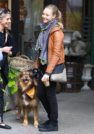 Amanda Seyfried Dog Walking